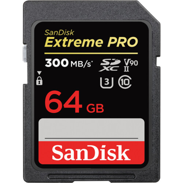 Sandisk SDSDXDK-064G-ANCIN v5